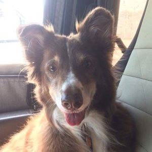 Meet your Posher, Anne